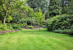 Optimiser l'expérience du jardin à Preignan